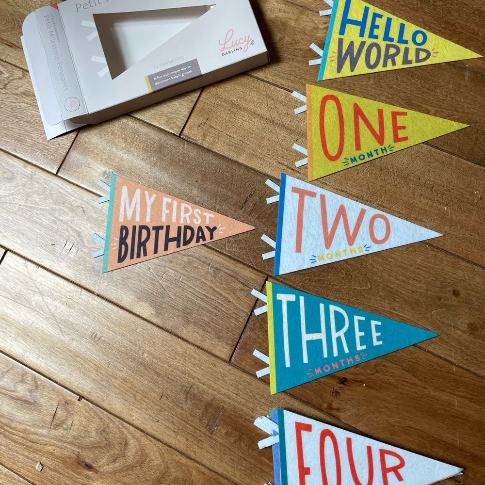 Lucy Darling Petit Milestone Pennants